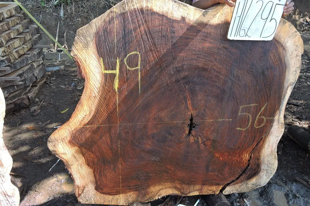Slab LH16295