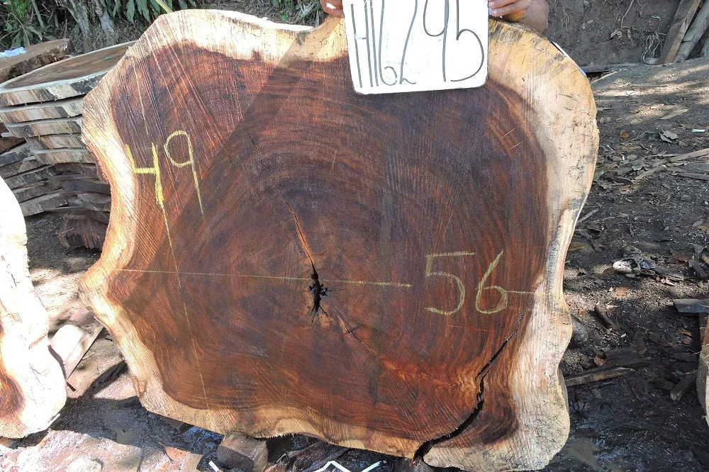 Slab LH16295